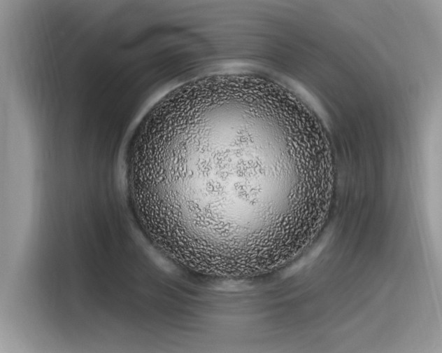 X0000115630835200911171334