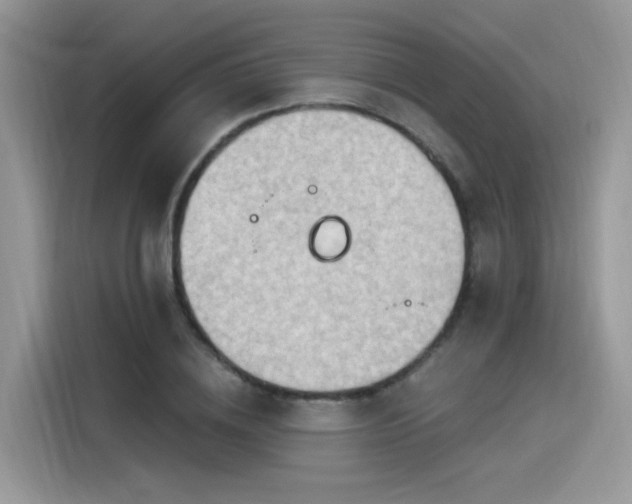 X0000115630836200911171334