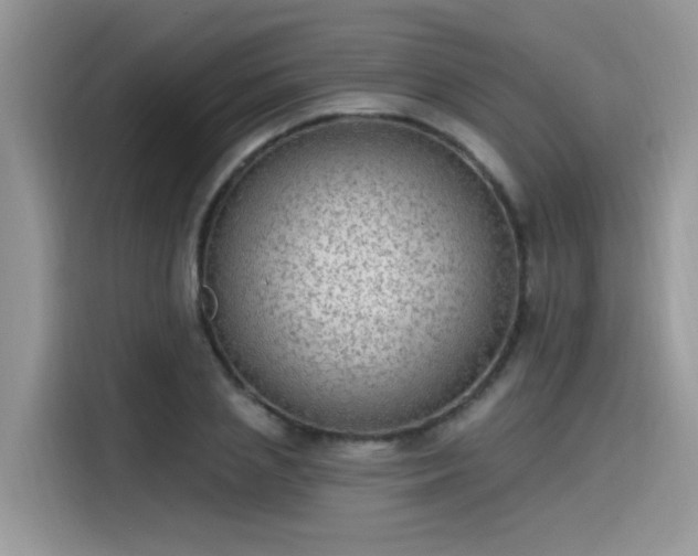 X0000115630837200911171334