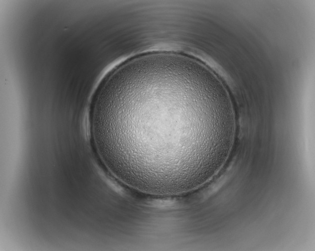 X0000115630838200911171334