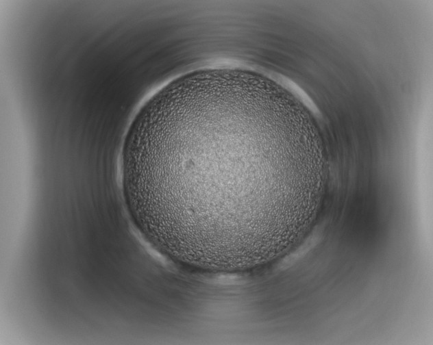 X0000115630839200911171334