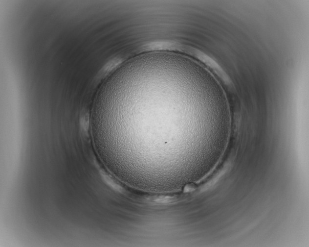 X0000115630841200911171334