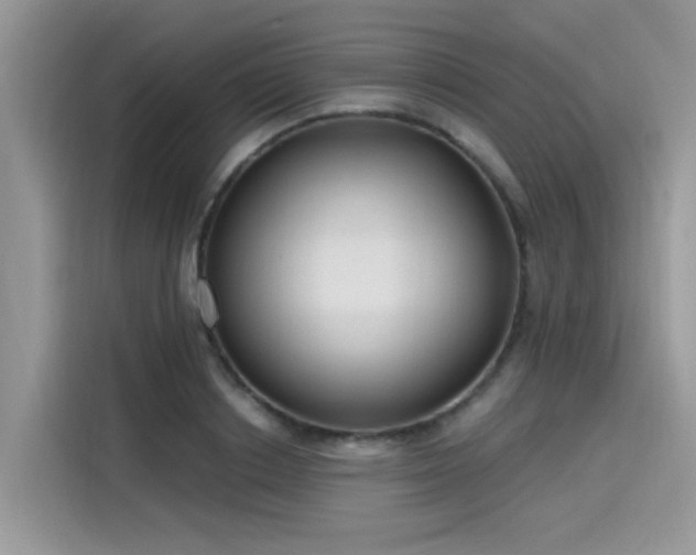 X0000115630842200911171334