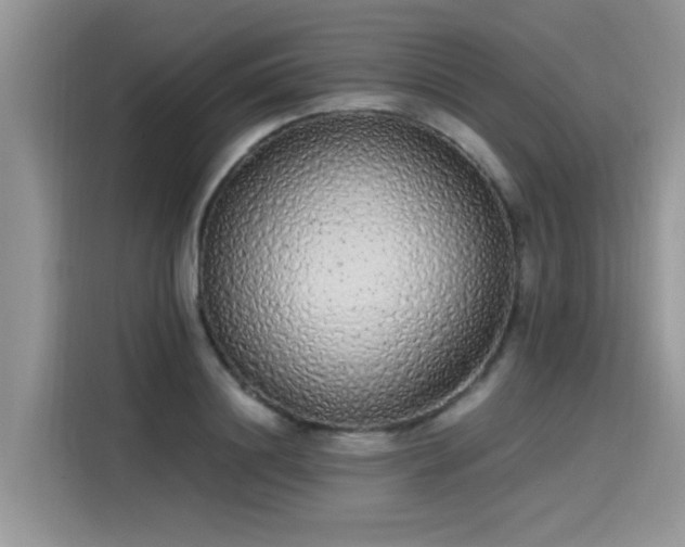 X0000115630844200911171334