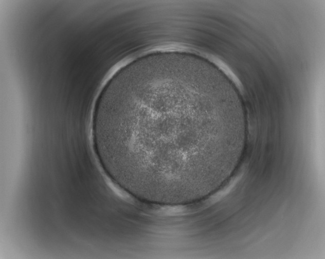 X0000115630845200911171334