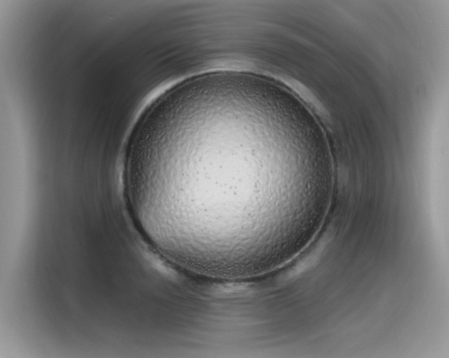 X0000115630846200911171334