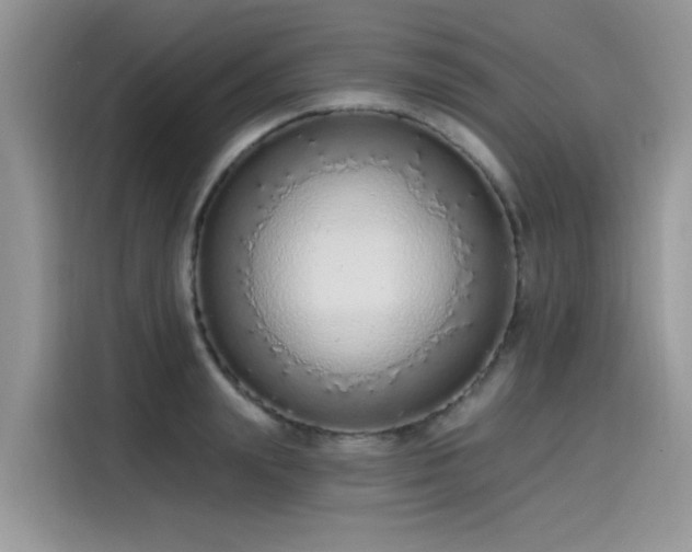 X0000115630847200911171334