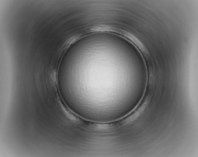 X0000115630849200911171334