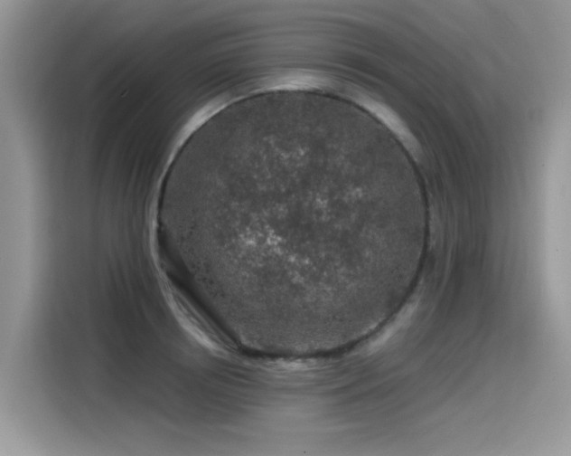 X0000115630850200911171334