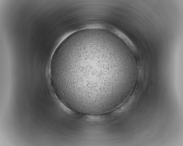 X0000115630852200911171334