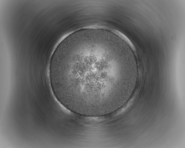 X0000115630855200911171334