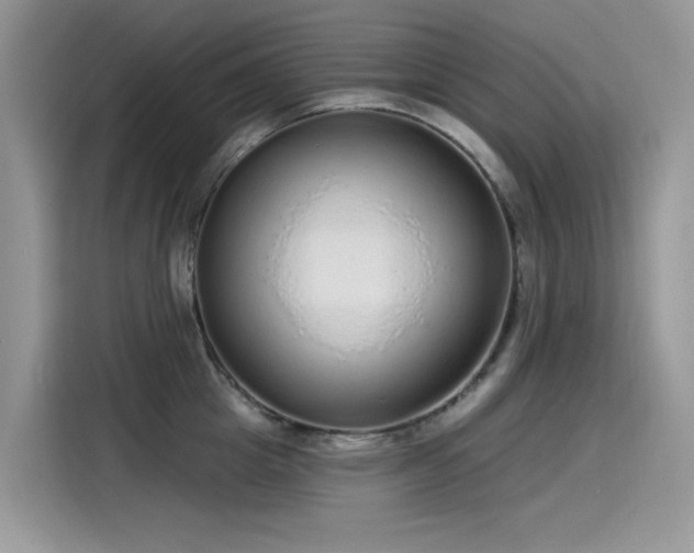 X0000115630857200911171334