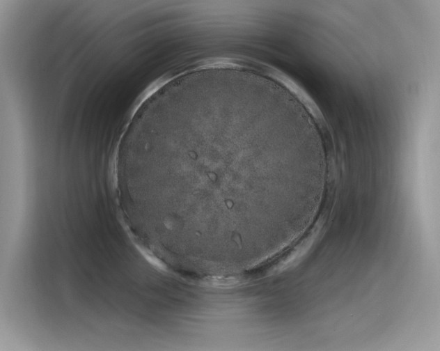 X0000115630858200911171334