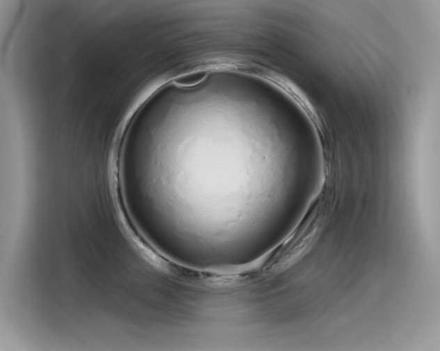 X0000115630859200911171334