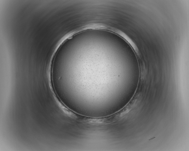 X0000115630861200911171334