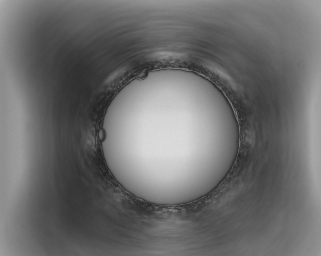 X0000115630869200911171334