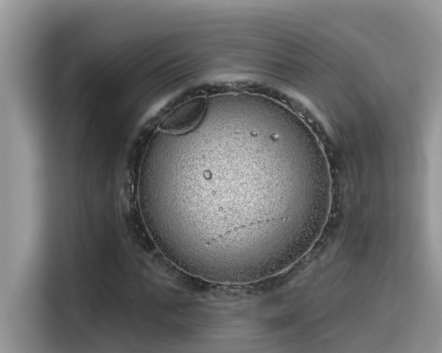 X0000115630871200911171334