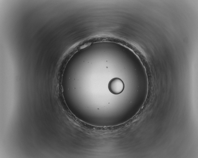 X0000115630872200911171334