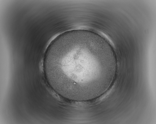 X0000115630875200911171334