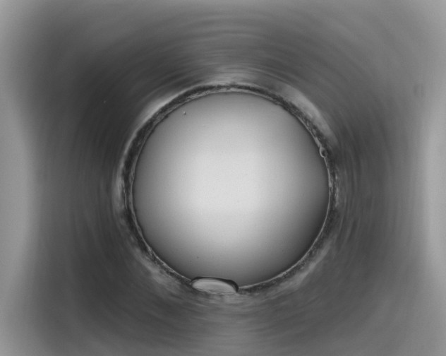 X0000115630876200911171334