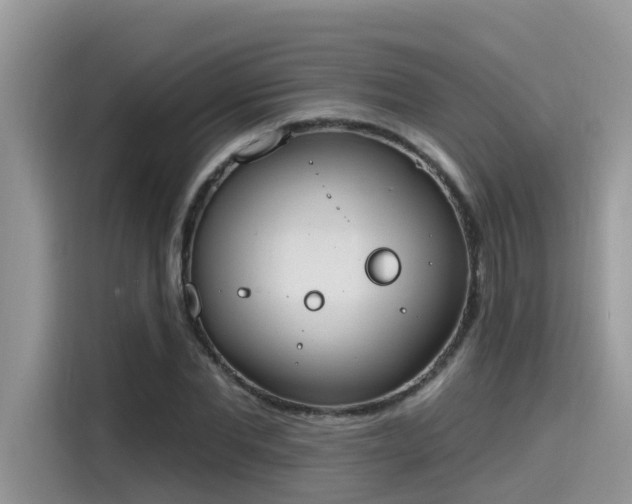 X0000115630877200911171334