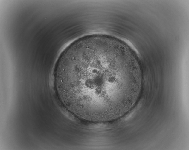 X0000115630879200911171334