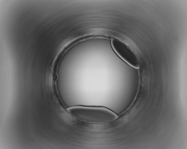 X0000115630880200911171334