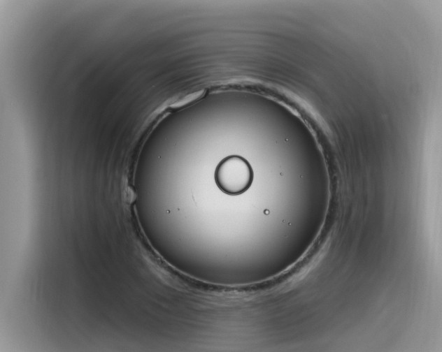 X0000115630881200911171334