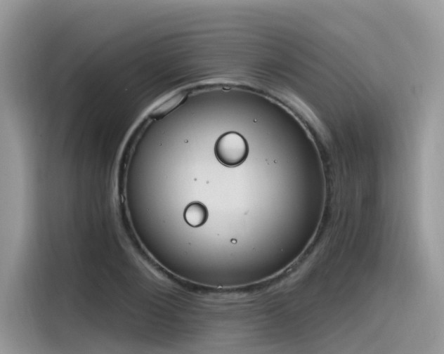 X0000115630884200911171334