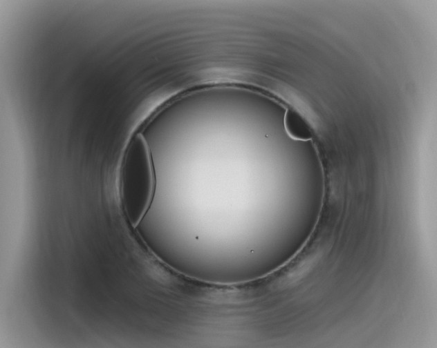 X0000115630885200911171334