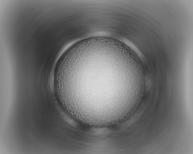 X0000115630886200911171334