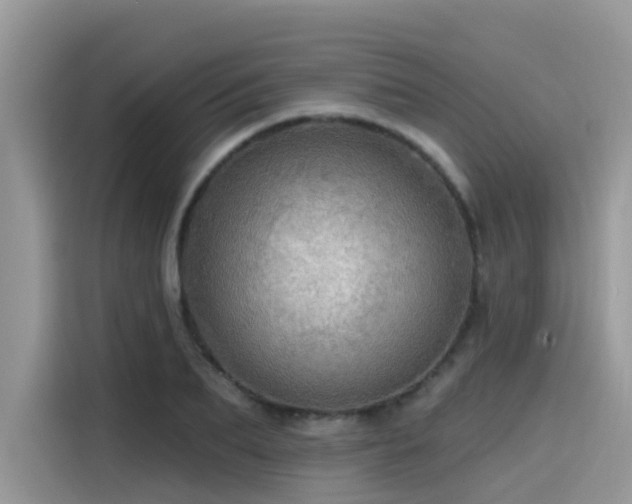 X0000115630887200911171334