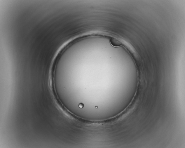 X0000115630888200911171333