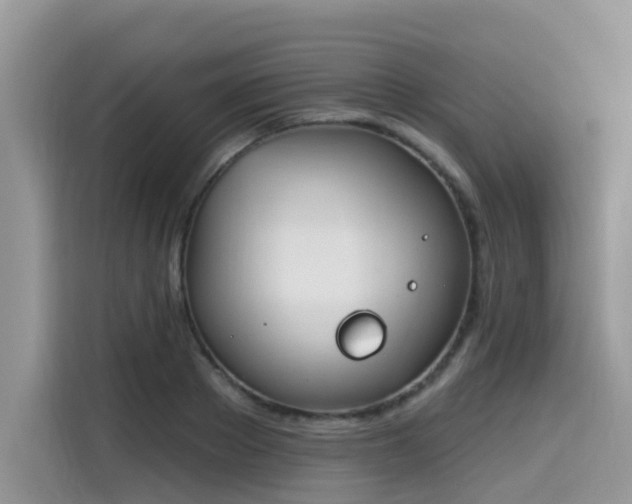 X0000115630889200911171333