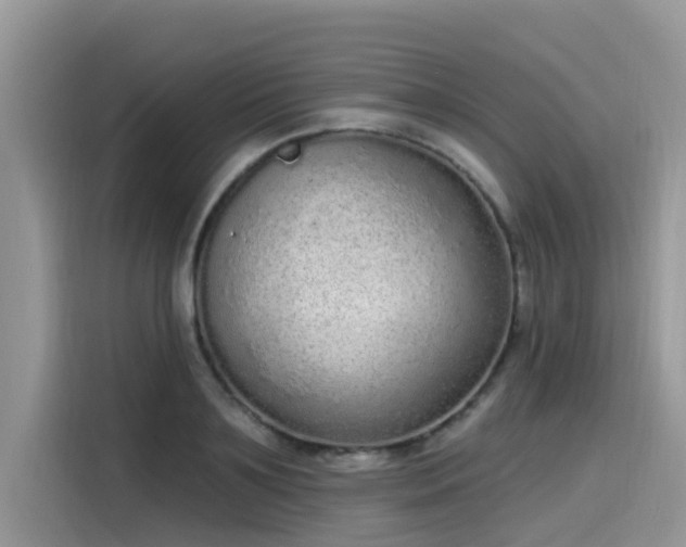 X0000115630891200911171333