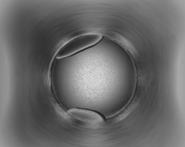 X0000115630892200911171333