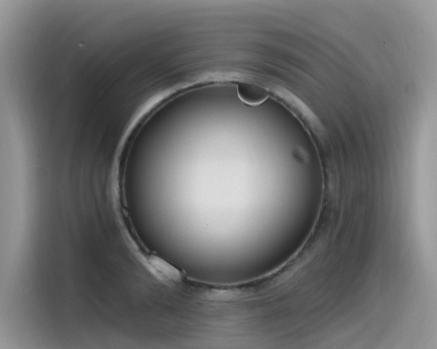 X0000115630894200911171333