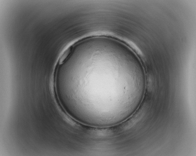 X0000115630895200911171333