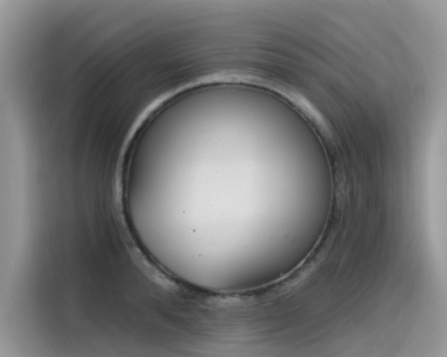 X0000115630896200911171333