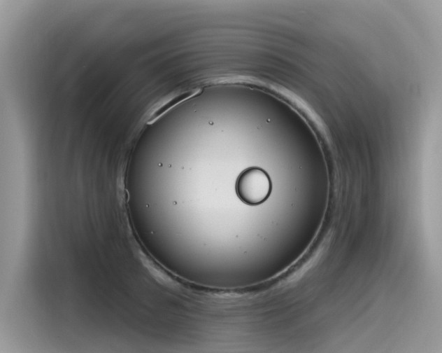 X0000115630897200911171333