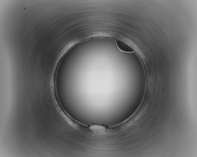 X0000115630898200911171333