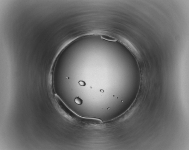 X0000115630900200911171333