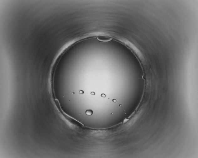 X0000115630902200911171333