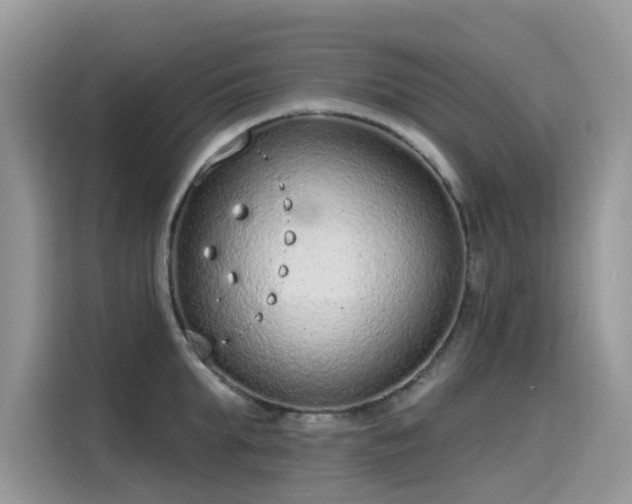 X0000115630903200911171333