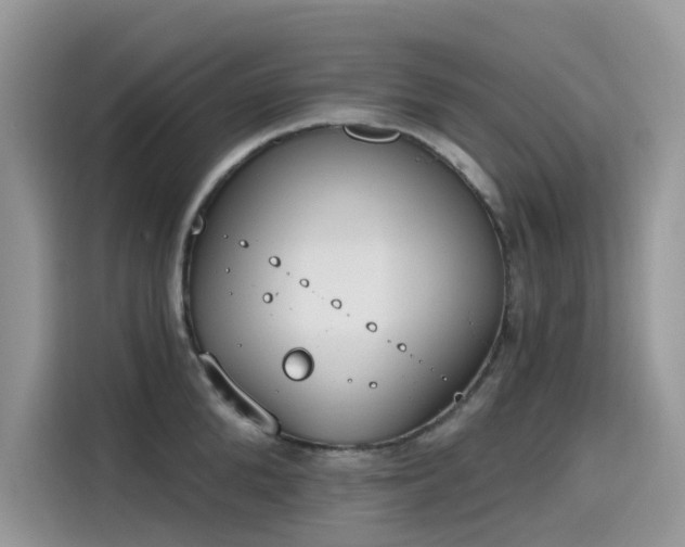 X0000115630904200911171333