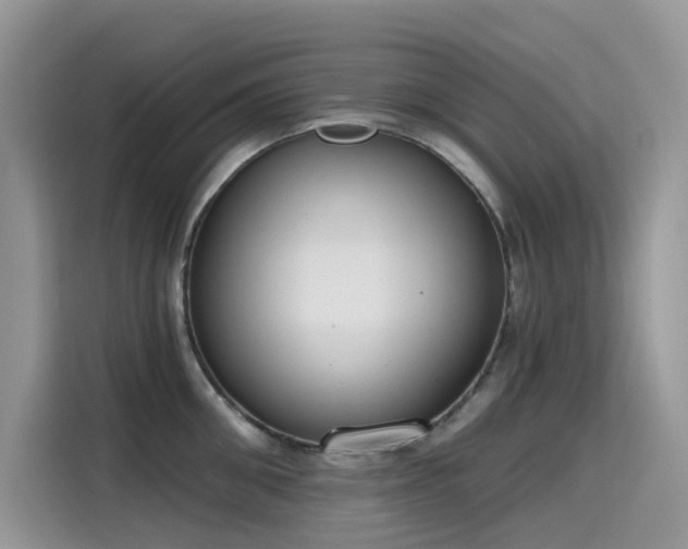 X0000115630906200911171333