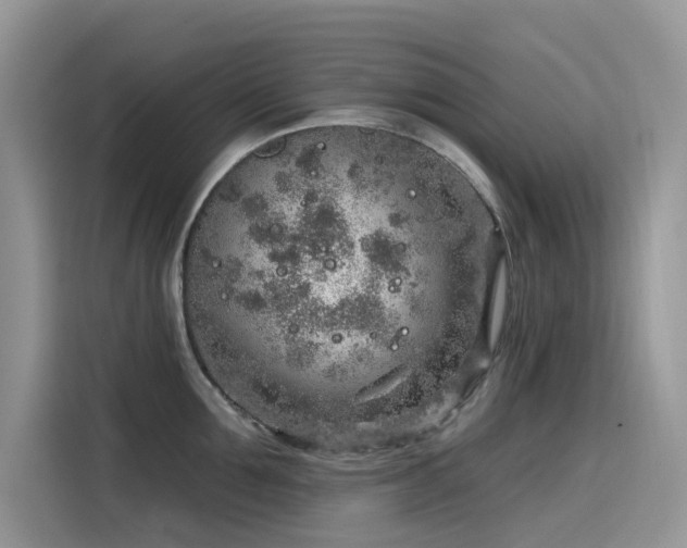 X0000115630907200911171333