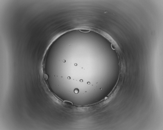 X0000115630908200911171333