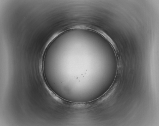 X0000115630909200911171333