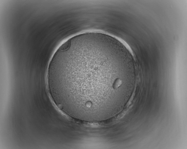 X0000115630911200911171333